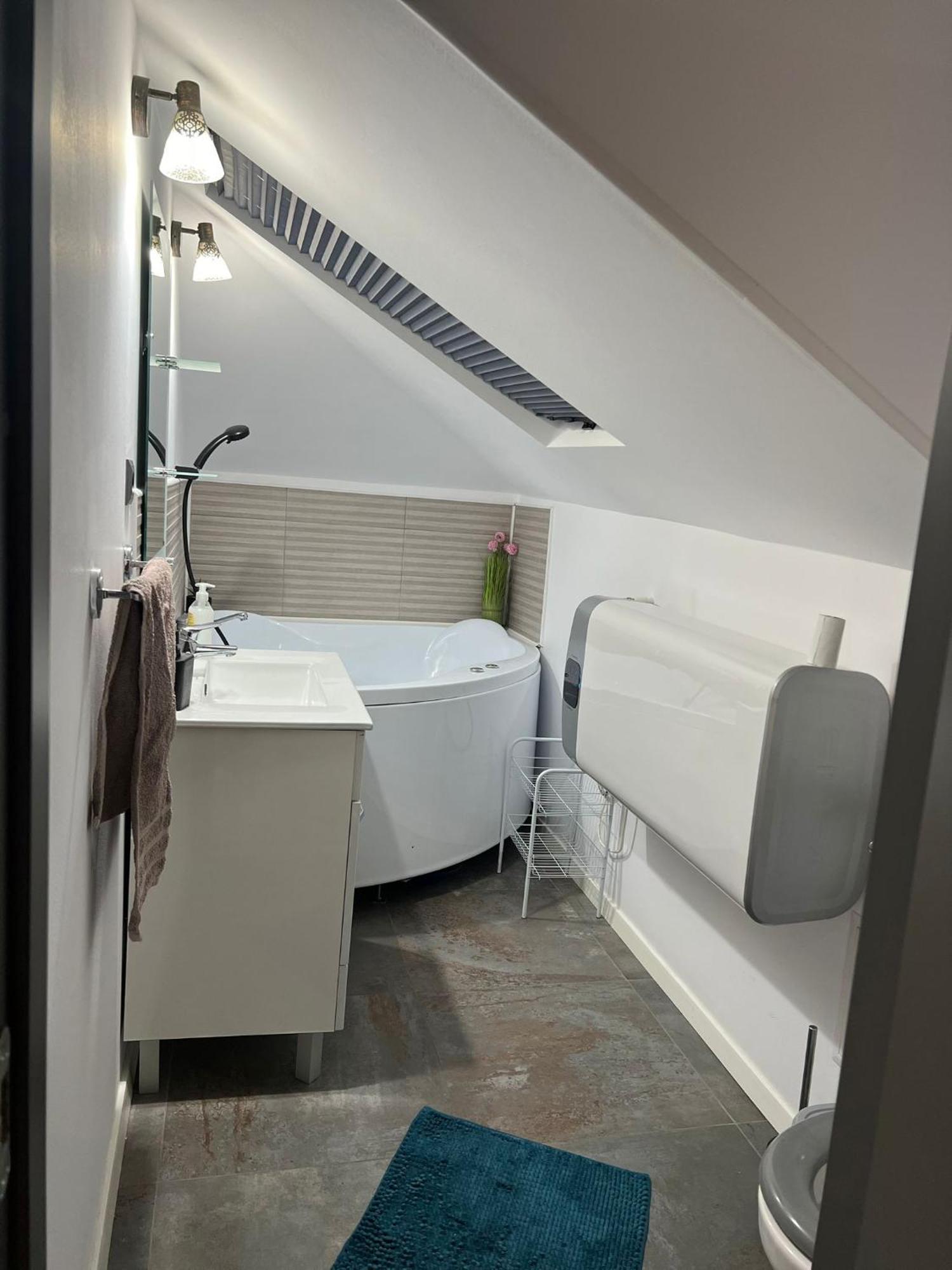 Apartament Mansarda Venus Râmnicu Vâlcea Екстериор снимка
